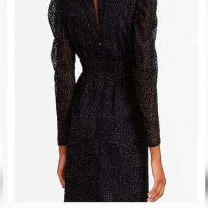 Express Puff Sleeve Velvet Dress